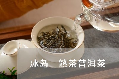 冰岛 熟茶普洱茶/2023031791057